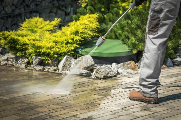 Animal Enclosure Cleaning in Washington, IA